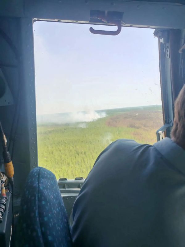 Закручиваются змейками вокруг пожаров десятки километров противопожарных полос, сделанные руками лесных пожарных Закручиваются змейками вокруг пожаров десятки километров противопожарных полос, сделанные руками лесных пожарных
