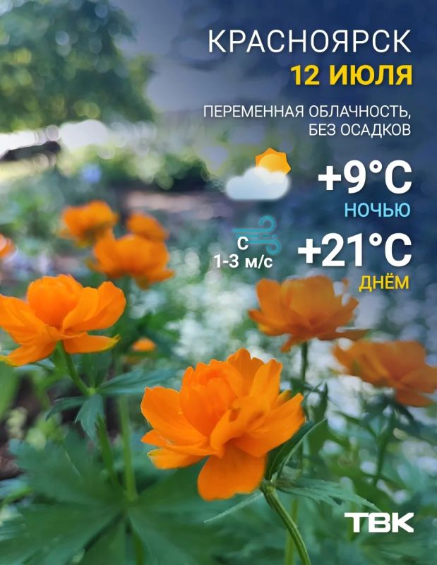 Погода на сегодня