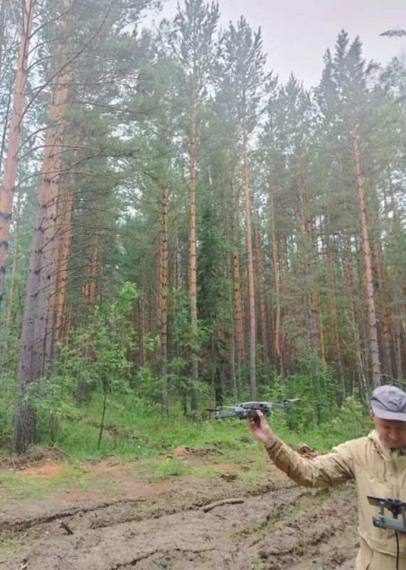Как проверить качество рубки прореживания на большой площади? С помощью БПЛА! Как проверить качество рубки прореживания на большой площади? С помощью БПЛА!