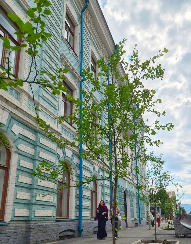 На трёх центральных улицах Красноярска, к 400-летию краевой столицы, высадят почти две тысячи зелёных насаждений