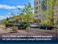 В центре Красноярска стартовала высадка почти двух тысяч деревьев и кустарников