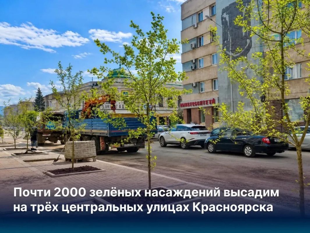 В центре Красноярска стартовала высадка почти двух тысяч деревьев и кустарников