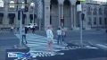Красноярцы начали замечать необычных зебр на улицах города