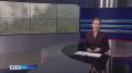 На севере Красноярского края продолжается борьба с лесными пожарами