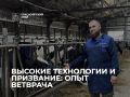������� �������� �������� � ������ ������������� ��������� ���� �������� � ��������� �����������