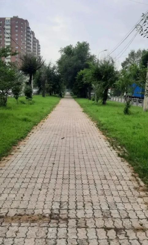 «Голос горожан услышан». Бульвар Ботанический ждёт преображение, и вы можете стать его соавтором!