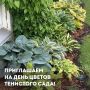В Центральном районе пройдёт День цветов тенистого сада