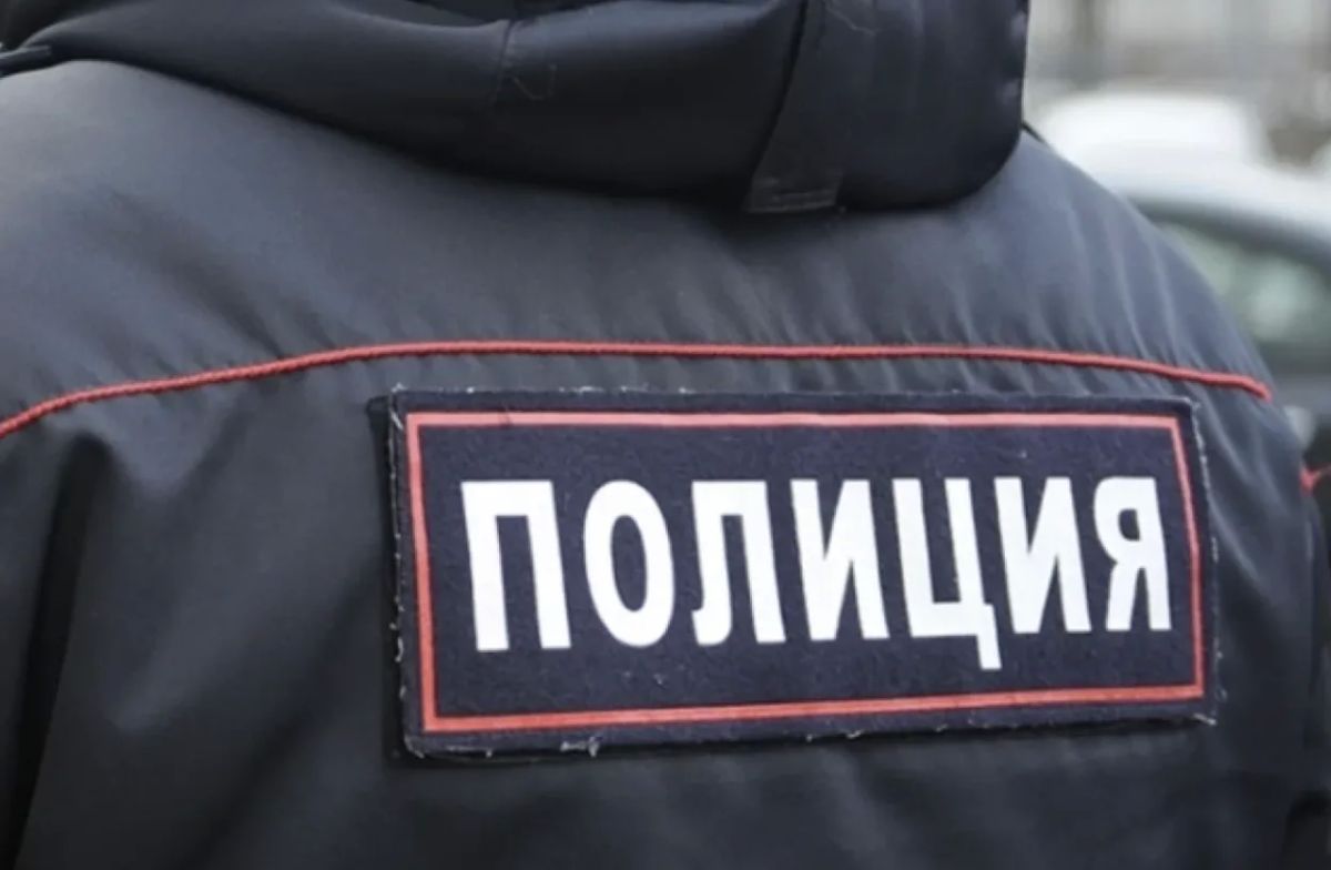 64-летнюю пенсионерку подозревают в отстреле собак в Туве