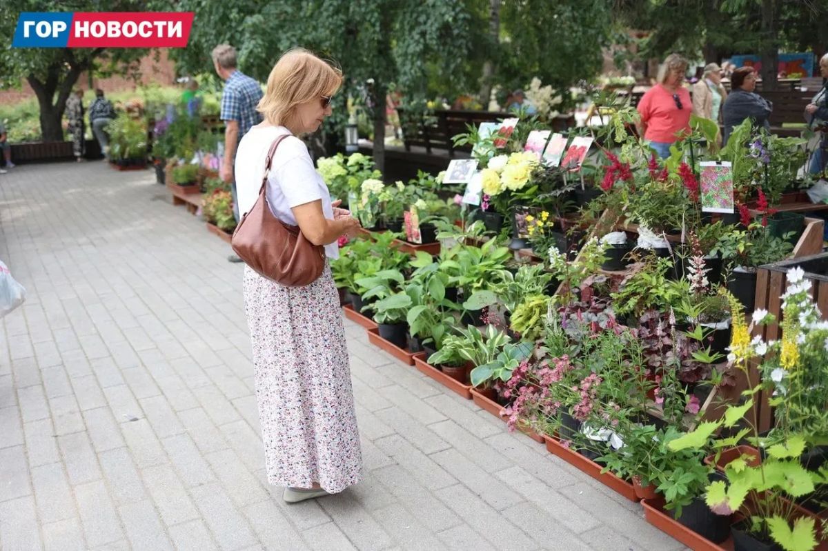В сквере Пушкина проходит выставка для садоводов В сквере Пушкина проходит выставка для садоводов