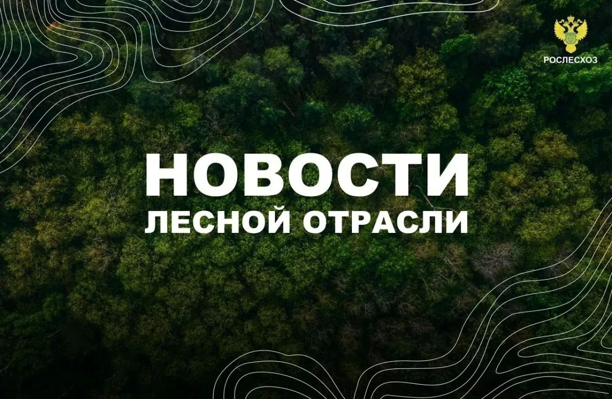 ЛПК Сибири: Красноярский край наращивает силы на тушении пожаров
