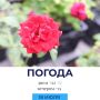 Погода на сегодня. @gornovosti «Горновости» в ВК | «Горновости» в МАХ