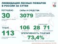 За прошедшие сутки в России потушено 30 лесных пожаров в 12 регионах