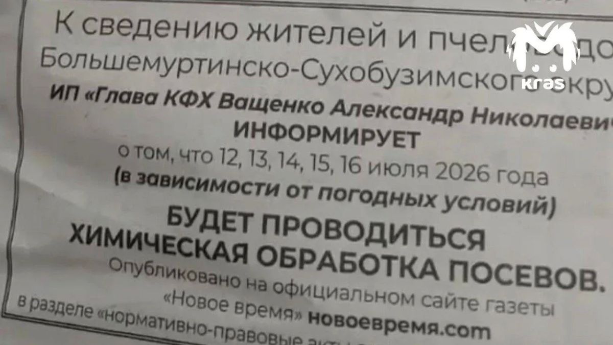 20 миллионов пчёл погибли в Красноярском крае 20 миллионов пчёл погибли в Красноярском крае