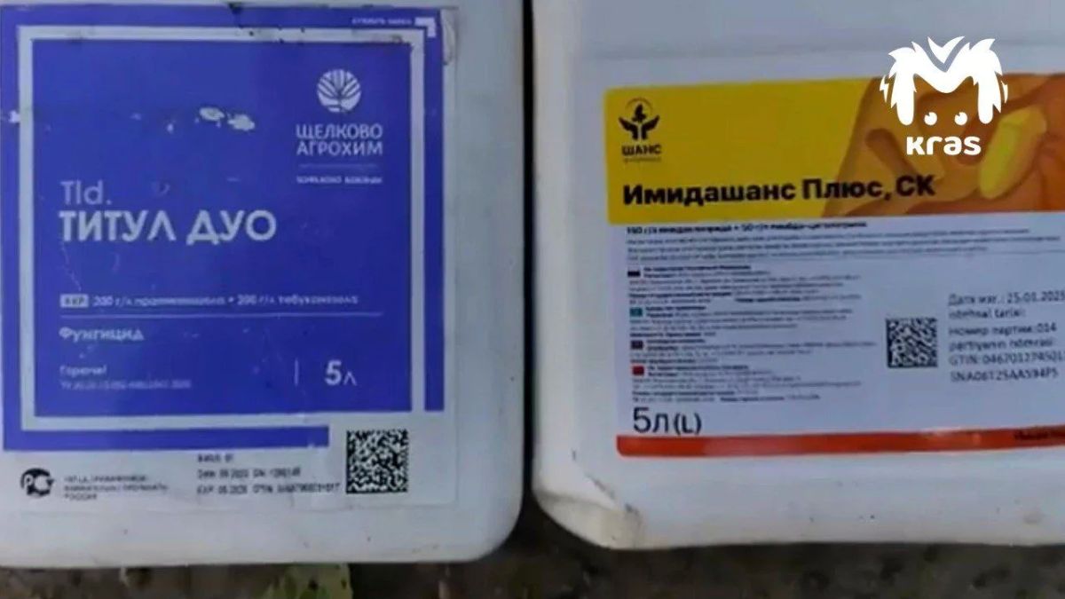 20 миллионов пчёл погибли в Красноярском крае 20 миллионов пчёл погибли в Красноярском крае