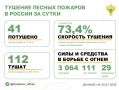 За прошедшие сутки в 18 регионах России потушили 41 лесной пожар