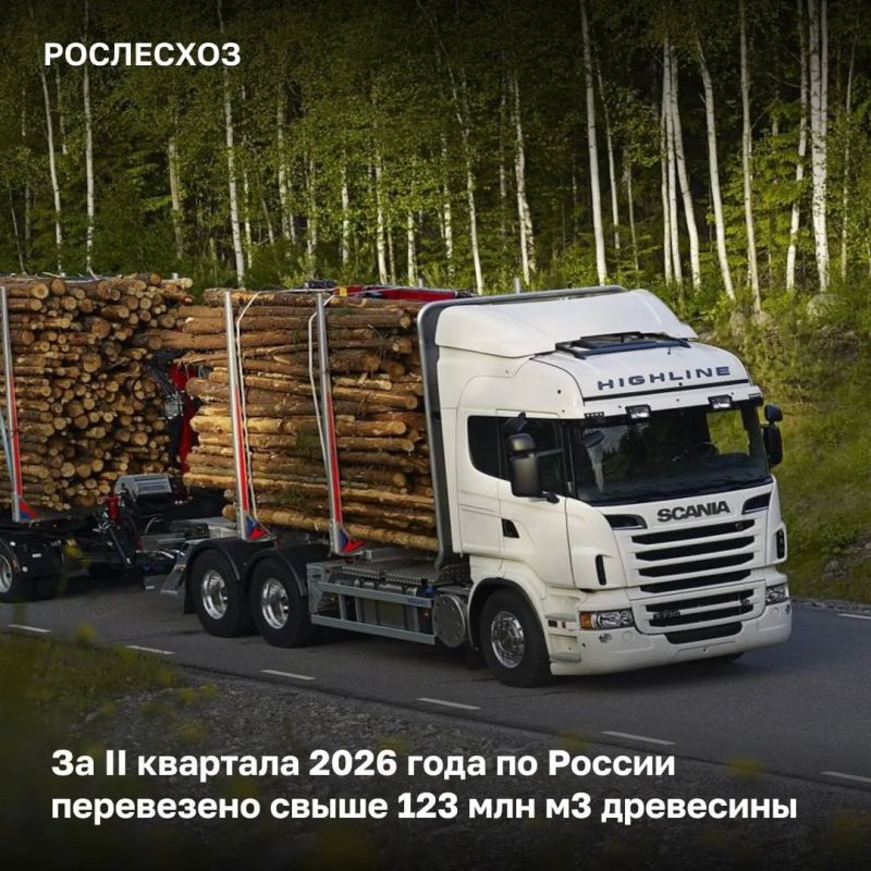 За 6 месяцев во ФГИС Лесного комплекса создано более 3,6 млн электронных сопроводительных документов на транспортировку лесоматериалов