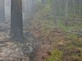 Дым от лесных пожаров в Красноярском крае снова дошел до Новосибирска