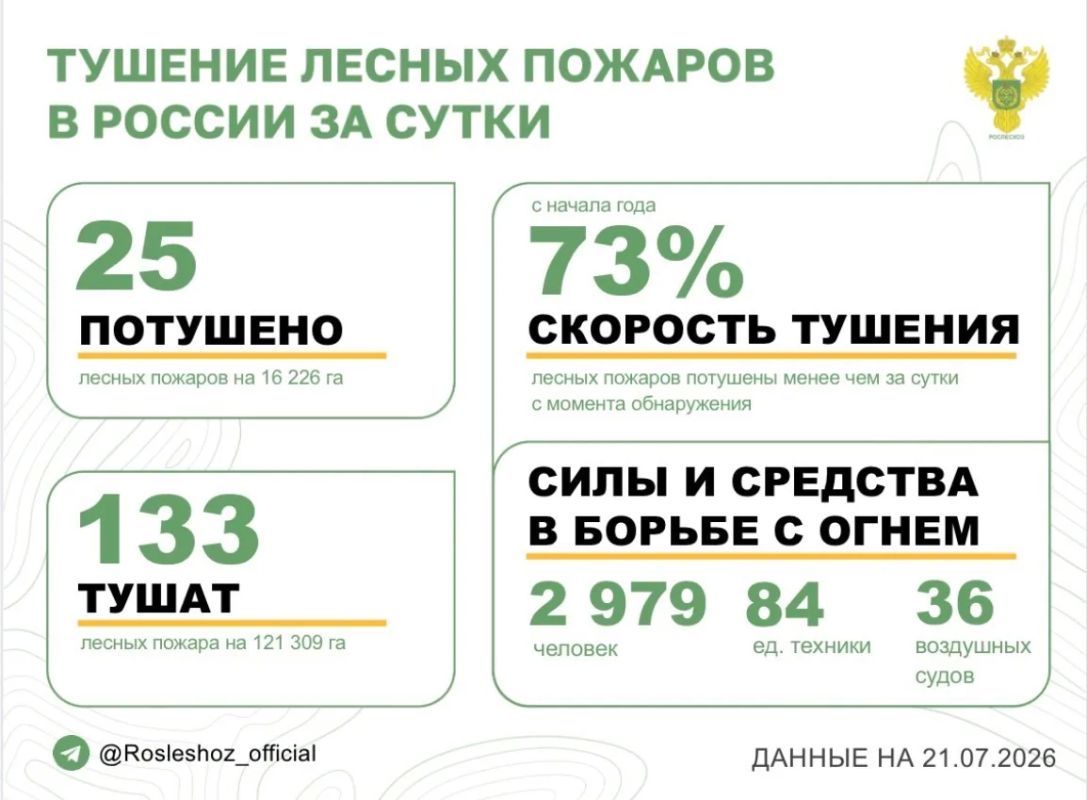 За прошедшие сутки в 14 регионах России потушили 25 лесных пожаров