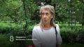 КЛЕЩИ НЕ СДАЮТСЯ. За последнюю неделю в Красноярском крае к врачам после укусов обратились больше трёхсот человек