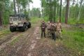 В крае специалисты проверяют участки, на которых завершились лесозаготовительные работы