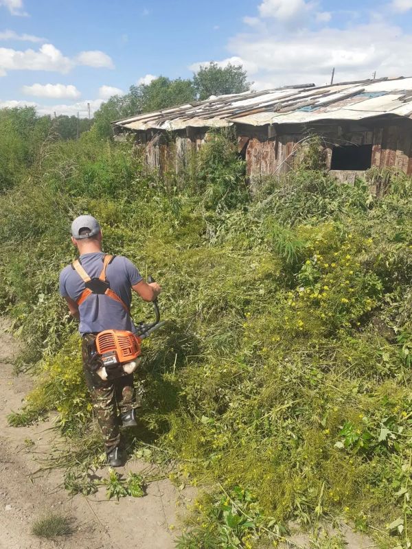 В Красноярском крае завершился первый этап межведомственной операции «Мак-2026» В Красноярском крае завершился первый этап межведомственной операции «Мак-2026»