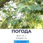 Погода на сегодня