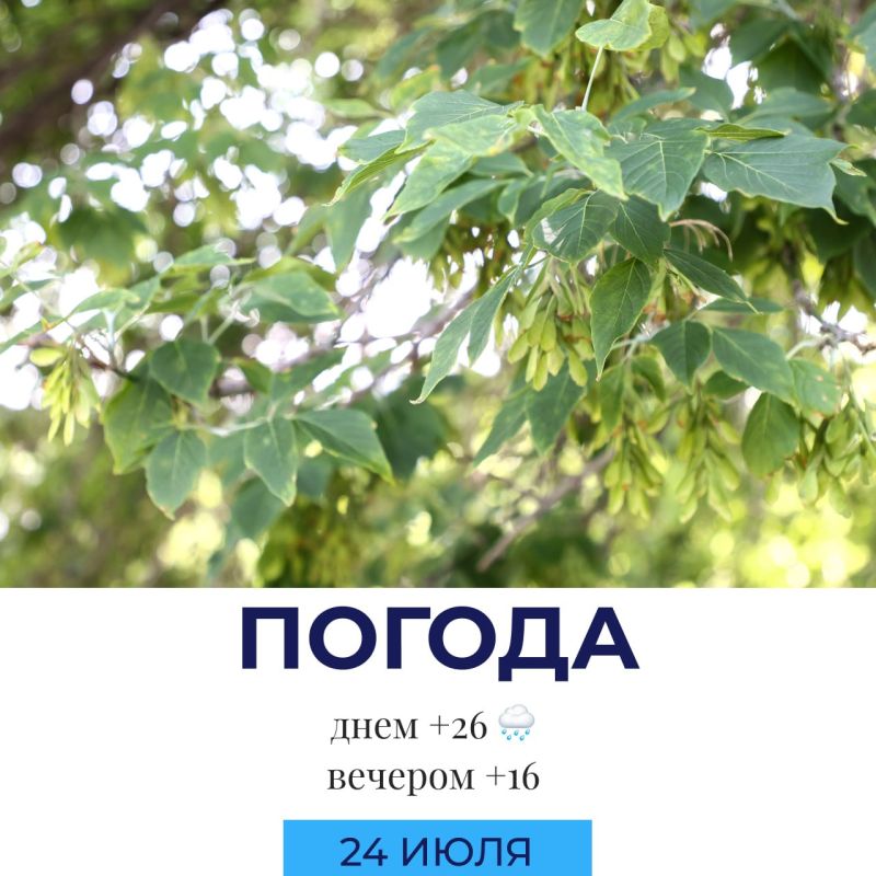 Погода на сегодня. @gornovosti «Горновости» в ВК | «Горновости» в МАХ