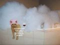 Вечер пятницы — на старт, внимание, релакс!