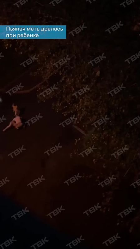 Пьяная красноярка устроила драку на глазах у своей дочери