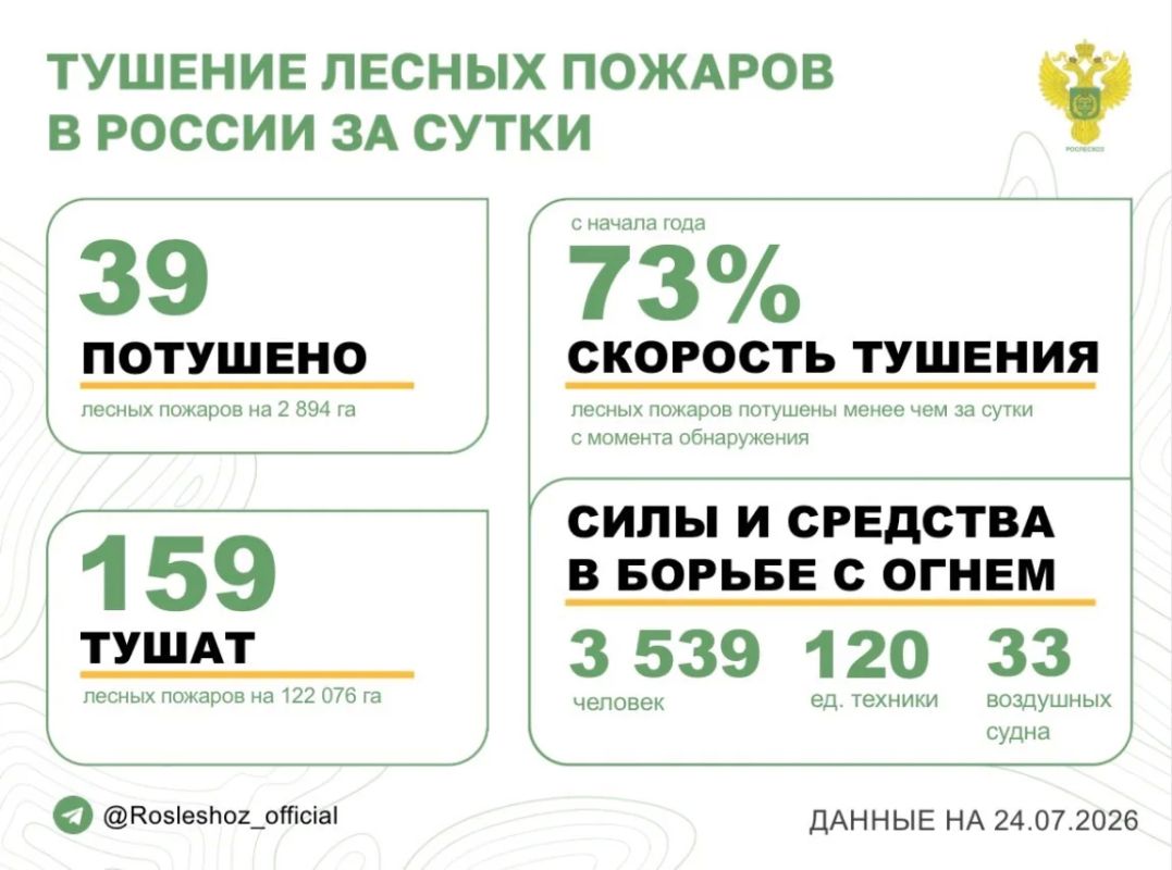За прошедшие сутки в 17 регионах России потушили 39 лесных пожаров