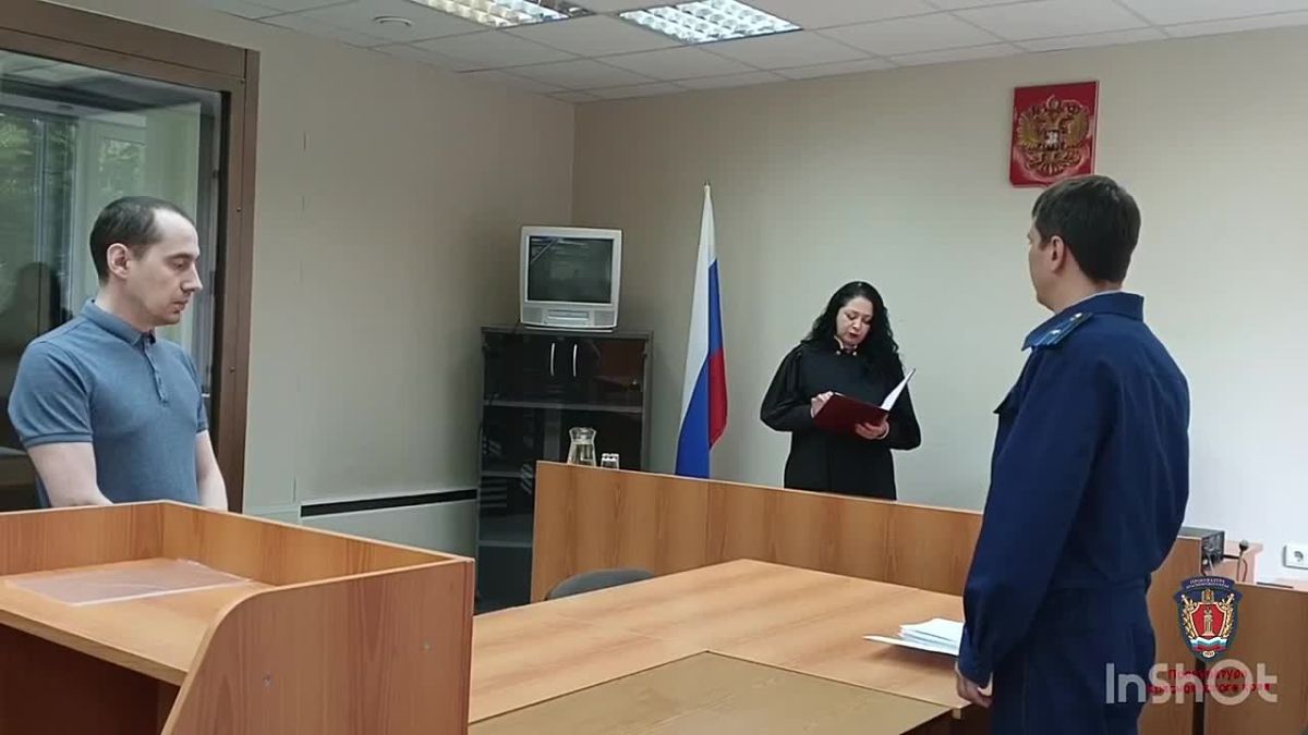 «Помогу с лесом, но за долю»: предприниматель из Абана скупал чужие делянки за 10 тыс