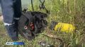 � ������������� ������������� ������ �������� ��������-������������ ������