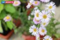 ������� Gornovosti ������: ��������� ������� ����� ������, ����� �����������, ���������� � ������������� ������ � ������ � ������ �������� ����� ������