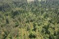 Инспекторы Лесной охраны совместно с сотрудниками Ермаковского лесничества провели рейд по территории гослесфонда
