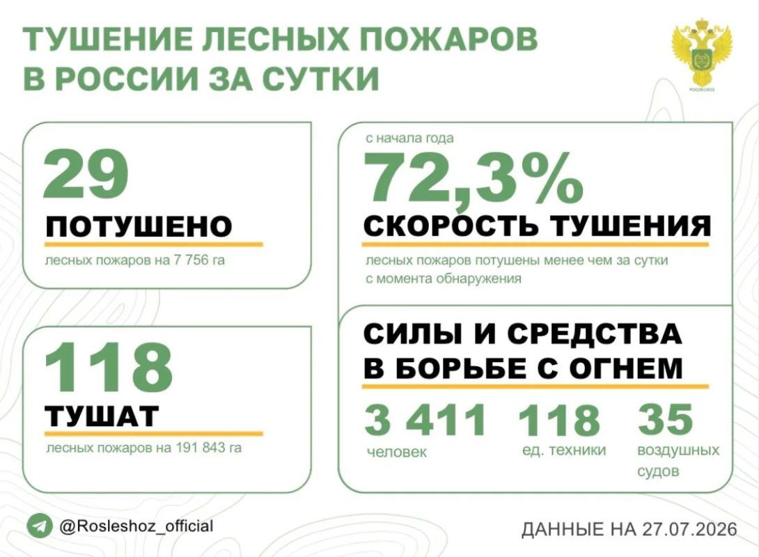 За прошедшие сутки в 11 регионах России потушили 29 лесных пожаров