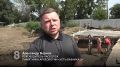 АРХЕОЛОГИЯ ДЛЯ ВСЕХ. В Красноярске жителей и гостей города приглашают на археологические раскопки