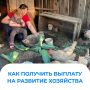 ����������� ����� ���� ����� �������� �� 70 ����� ������ �� �������� ������� ���������� ���������