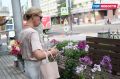 В сквере имени А.С. Пушкина сегодня проходит День флоксов
