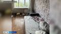 В Красноярске в результате падения из окна погиб ребёнок