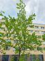 �� ���������� ������ � ����������� ������ ���������� ���������� �������