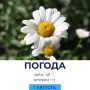 ������ �� �������. @gornovosti ����������� � �� | ����������� � ���