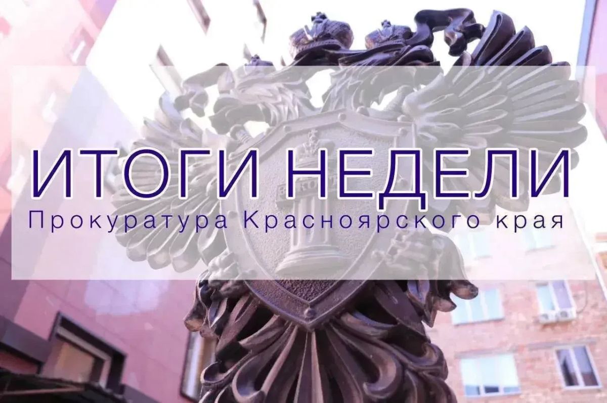 В Зеленогорске по материалам прокуратуры возбуждено уголовное дело об использовании подложных документов при участии в торгах на 135,4 млн руб В Зеленогорске по материалам прокуратуры возбуждено уголовное дело об использовании подложных документов при участии в торгах на 135,4 млн руб