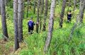 За сутки в Красноярске спасли двух заблудившихся в лесу женщин