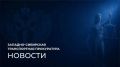 � ������������ ���� ������������ ����������� ��������� � ��� ��������� ���� � �������� ���������� ���������