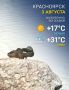 ������ �� �������. ��� � MAX | Telegram | �� | ����