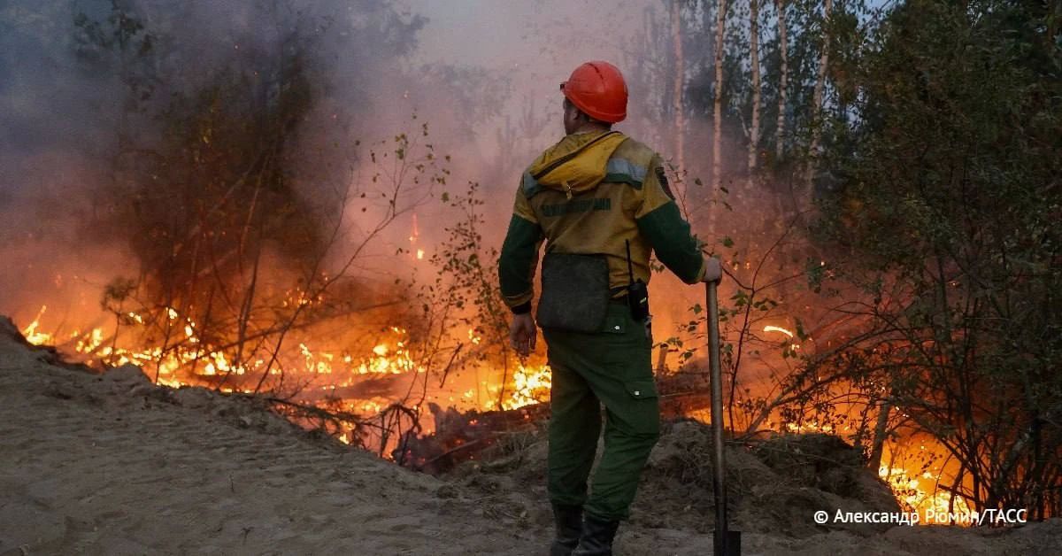 Площадь лесных пожаров в Красноярском крае за выходные выросла на 84 тыс