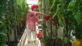 На юге края выращивают гигантские овощи