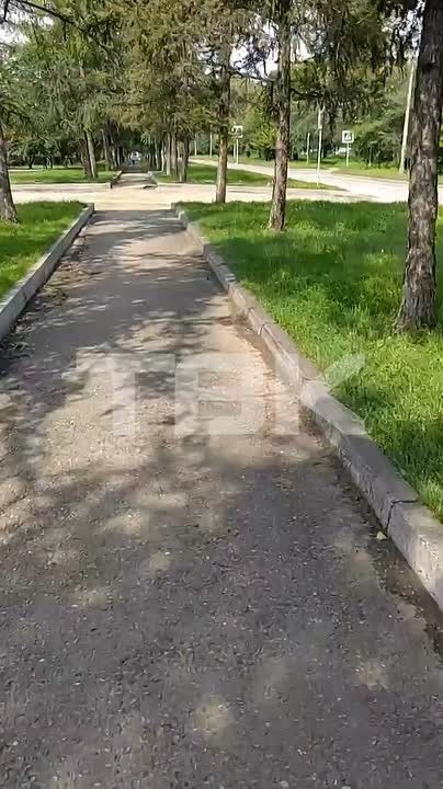Красноярцы сообщили о разбитом подходе к парку