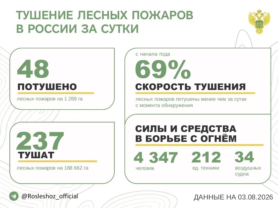 За прошедшие сутки в 15 регионах России потушили 48 лесных пожаров