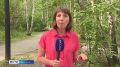 � ����������� ��������� ������ ��������� ������